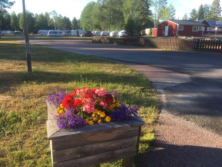 Älvdalens Camping