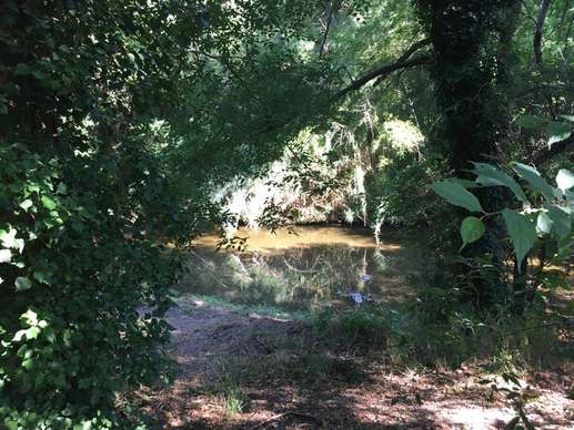Een foto toegevoegd aan een locatie