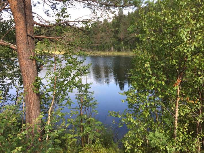 Granatjørna