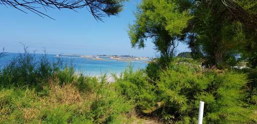 Added a photo to a location