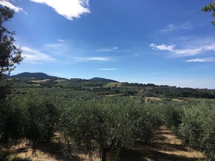 Area Sosta Camper s.s. Annuziata