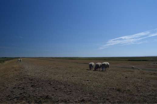 Een foto toegevoegd aan een locatie