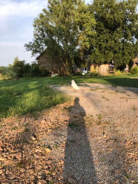 Added a photo to a location