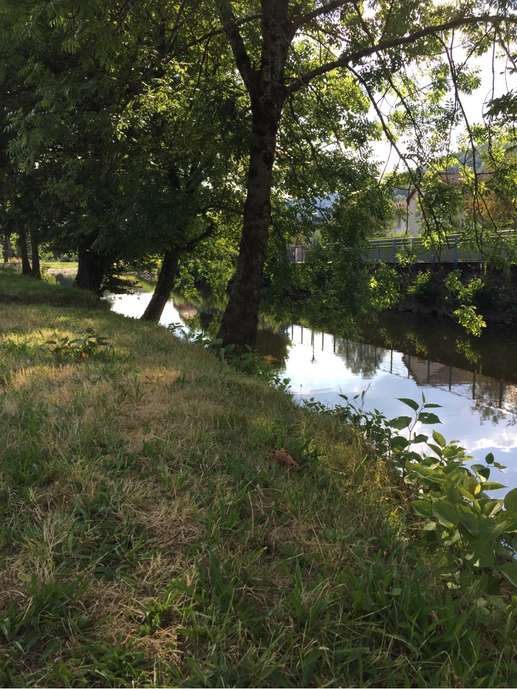 Added a photo to a location