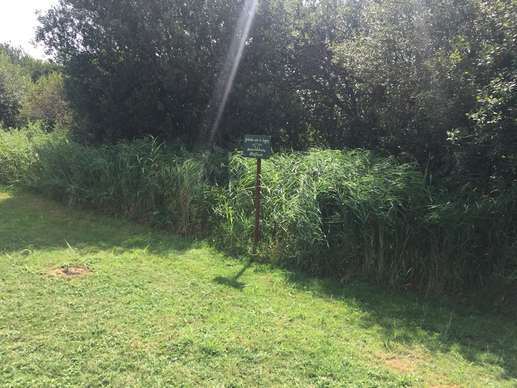 Een foto toegevoegd aan een locatie