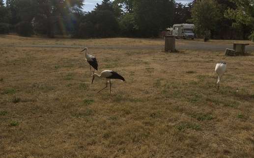 Added a photo to a location
