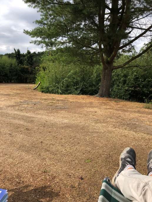 Added a photo to a location