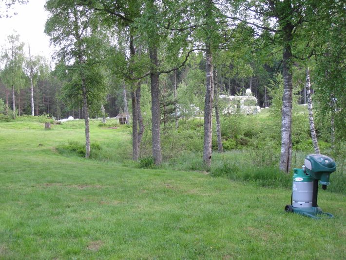 Bjørkeskogen Aktivitetssenter