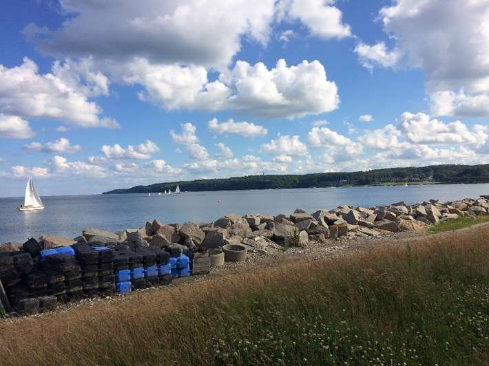 Marselisborg Havn