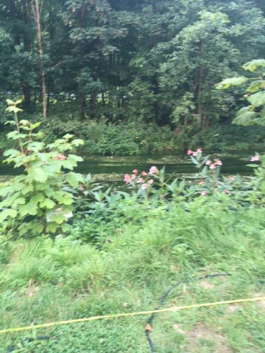 Een foto toegevoegd aan een locatie