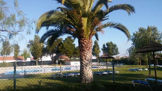 Added a photo to a location
