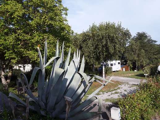 Added a photo to a location
