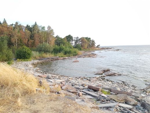 Added a photo to a location