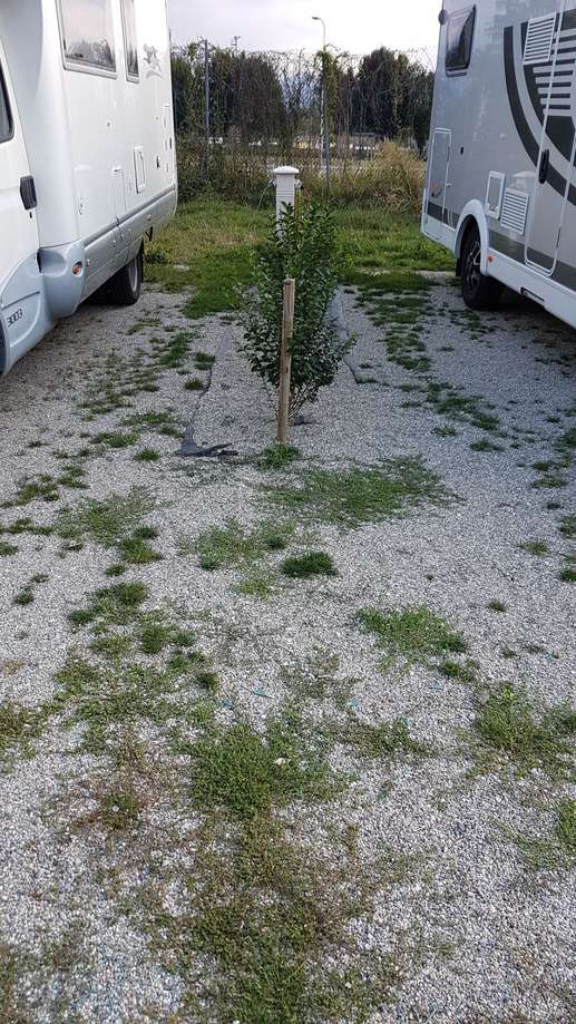 Aggiunta una foto a una posizione