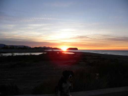 Added a photo to a location