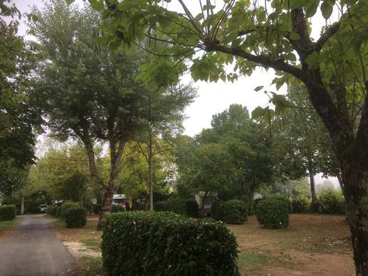 Aggiunta una foto a una posizione