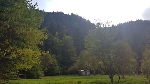 Added a photo to a location