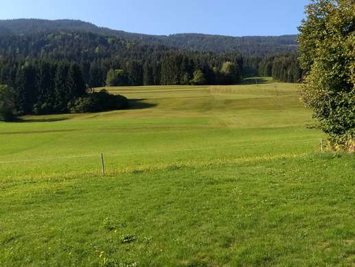 Added a photo to a location