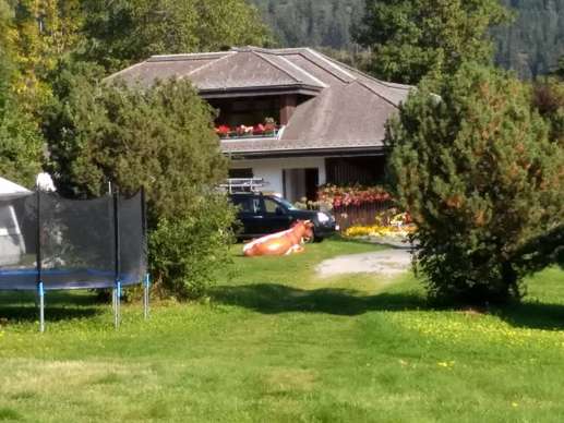 Added a photo to a location