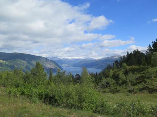 Added a photo to a location