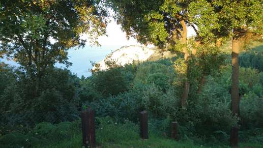 Added a photo to a location