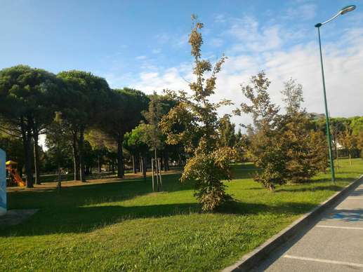 Added a photo to a location