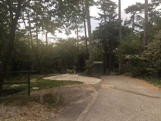 Added a photo to a location