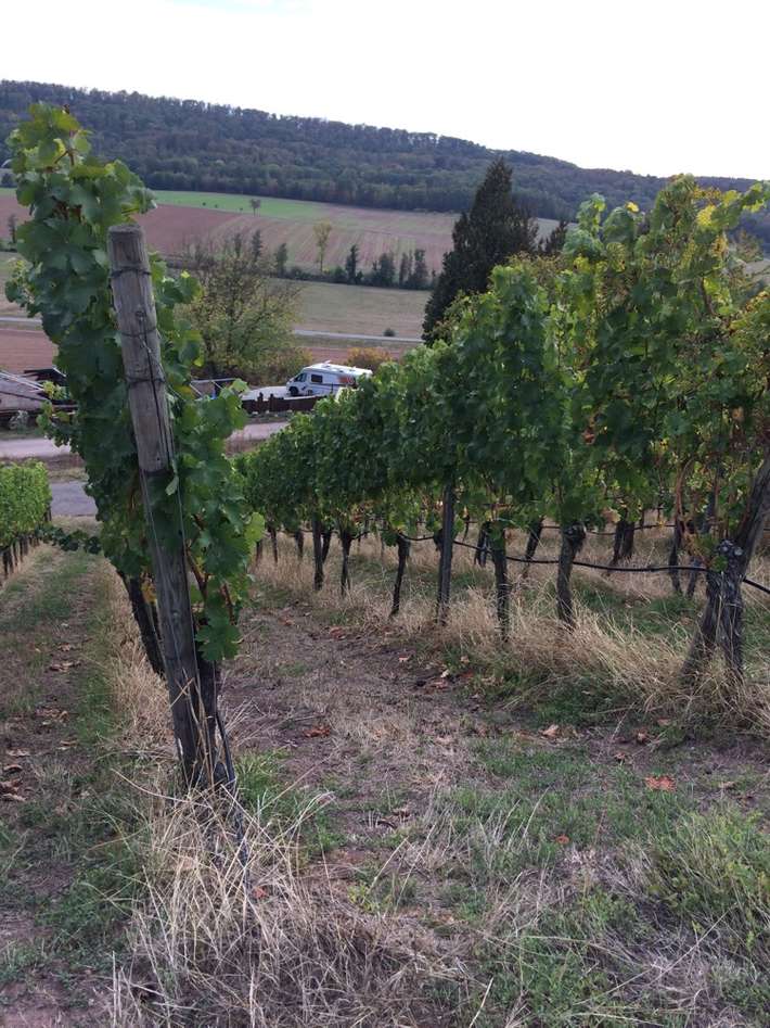 Stellplatz Weingut Zaiss