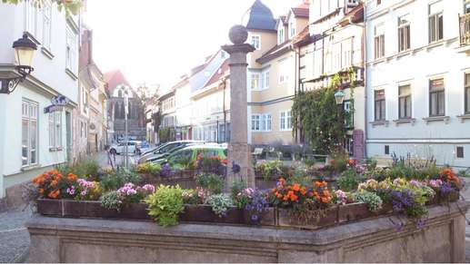 Added a photo to a location