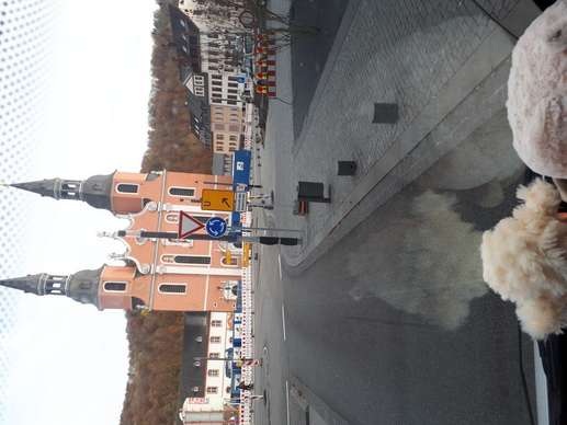 Added a photo to a location