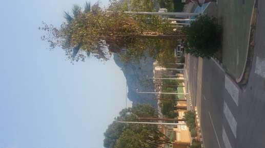 Added a photo to a location