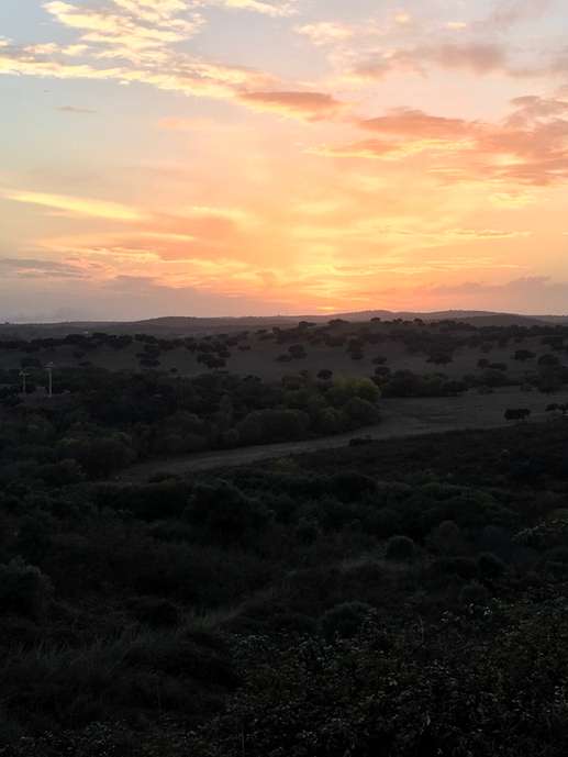 Een foto toegevoegd aan een locatie
