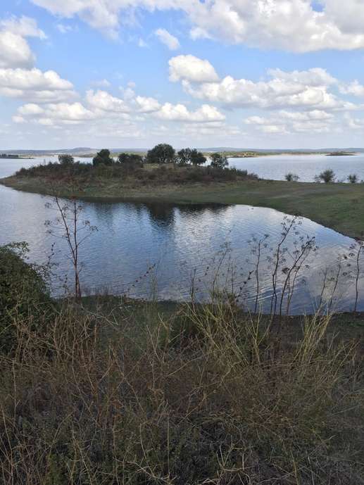 Een foto toegevoegd aan een locatie