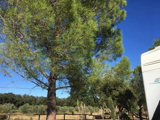 Added a photo to a location