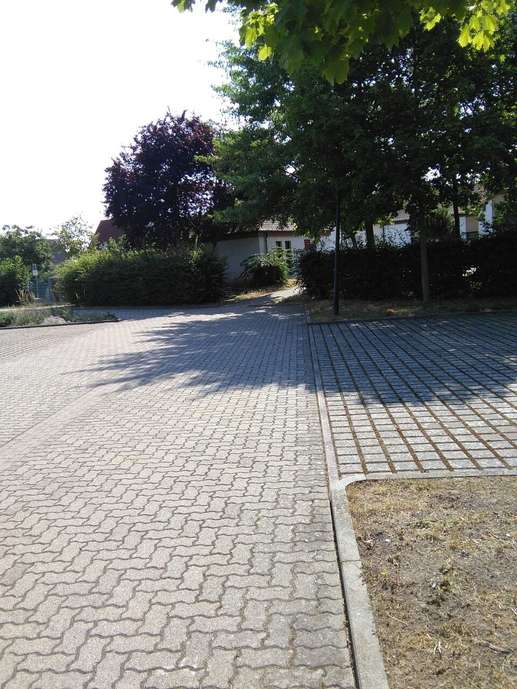 Added a photo to a location