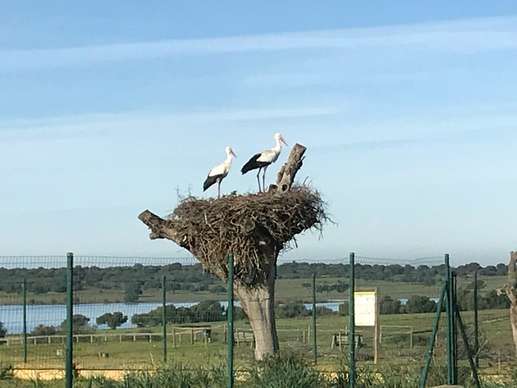 Einem Ort wurde ein Foto hinzugefügt