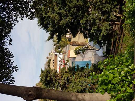 Added a photo to a location