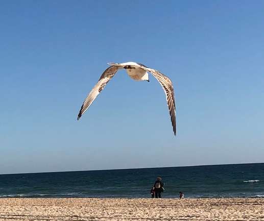 Added a photo to a location