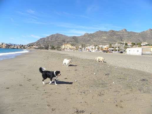 Added a photo to a location