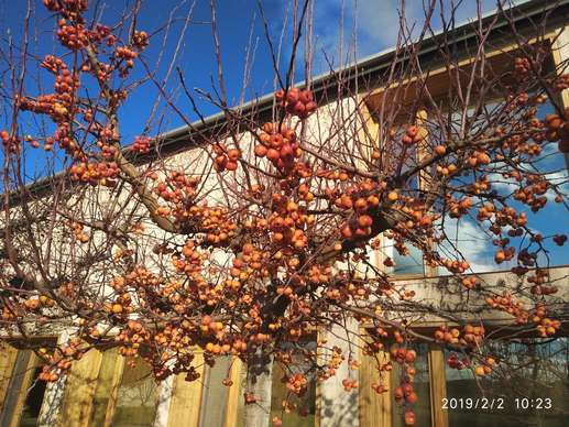 Added a photo to a location