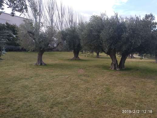 Added a photo to a location