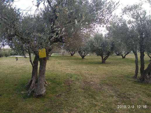 Added a photo to a location