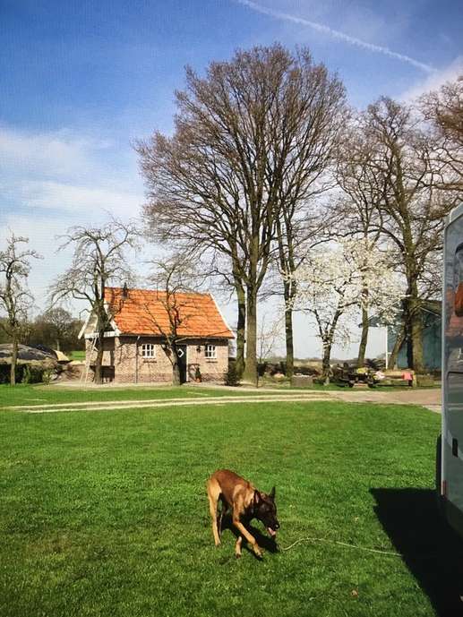 Een foto toegevoegd aan een locatie
