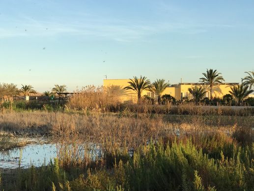 Added a photo to a location