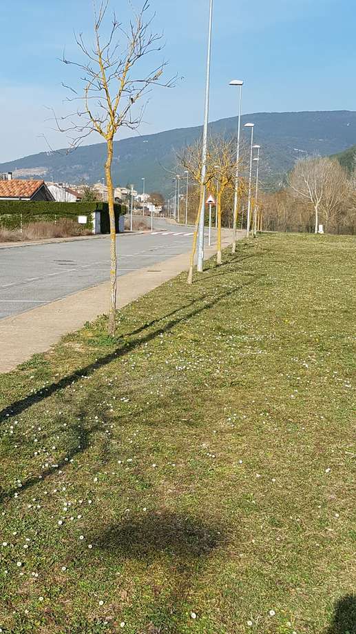 Einem Ort wurde ein Foto hinzugefügt