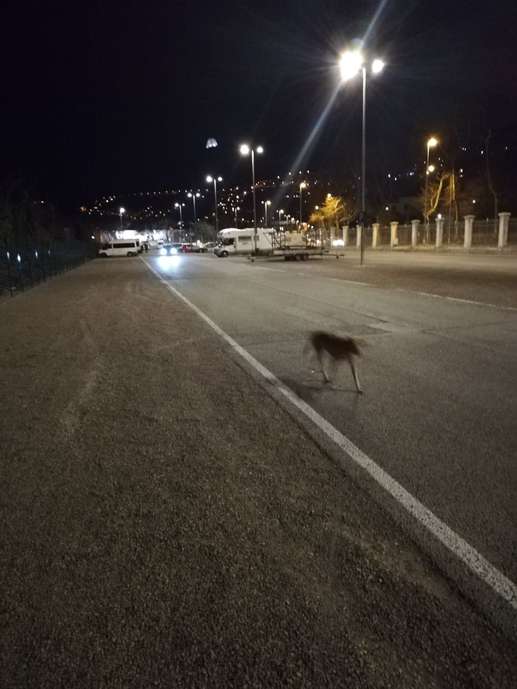 Een foto toegevoegd aan een locatie