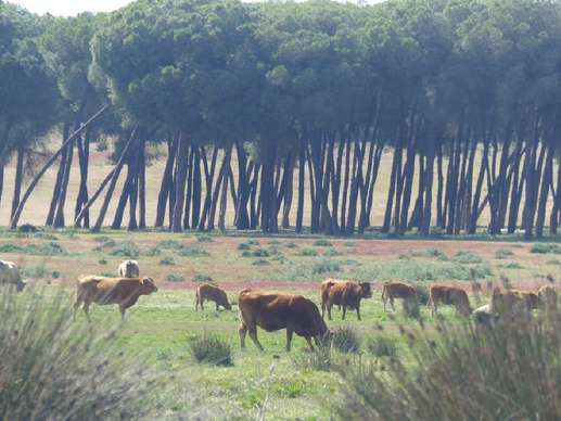 Aggiunta una foto a una posizione