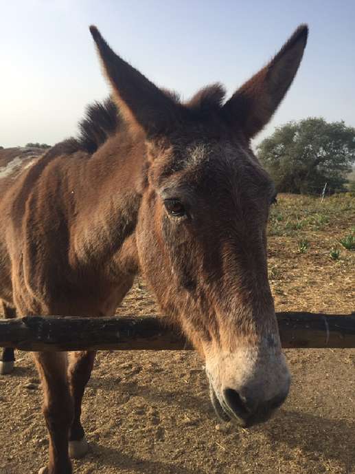 Aggiunta una foto a una posizione