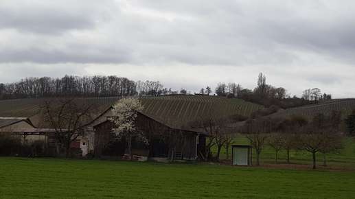 Einem Ort wurde ein Foto hinzugefügt