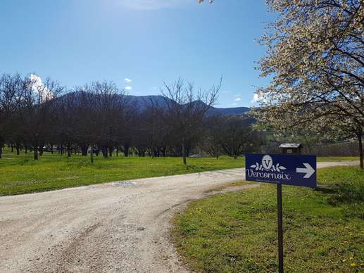 Aggiunta una foto a una posizione